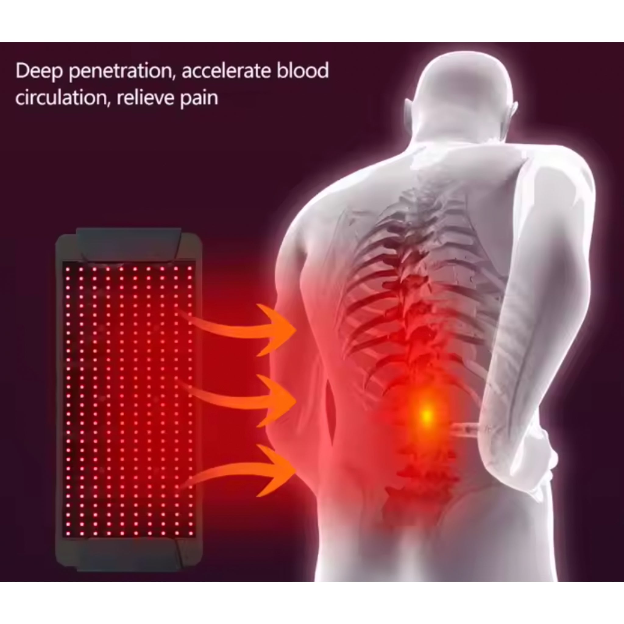 RejuvaLight Pro Red Light Therapy Belt