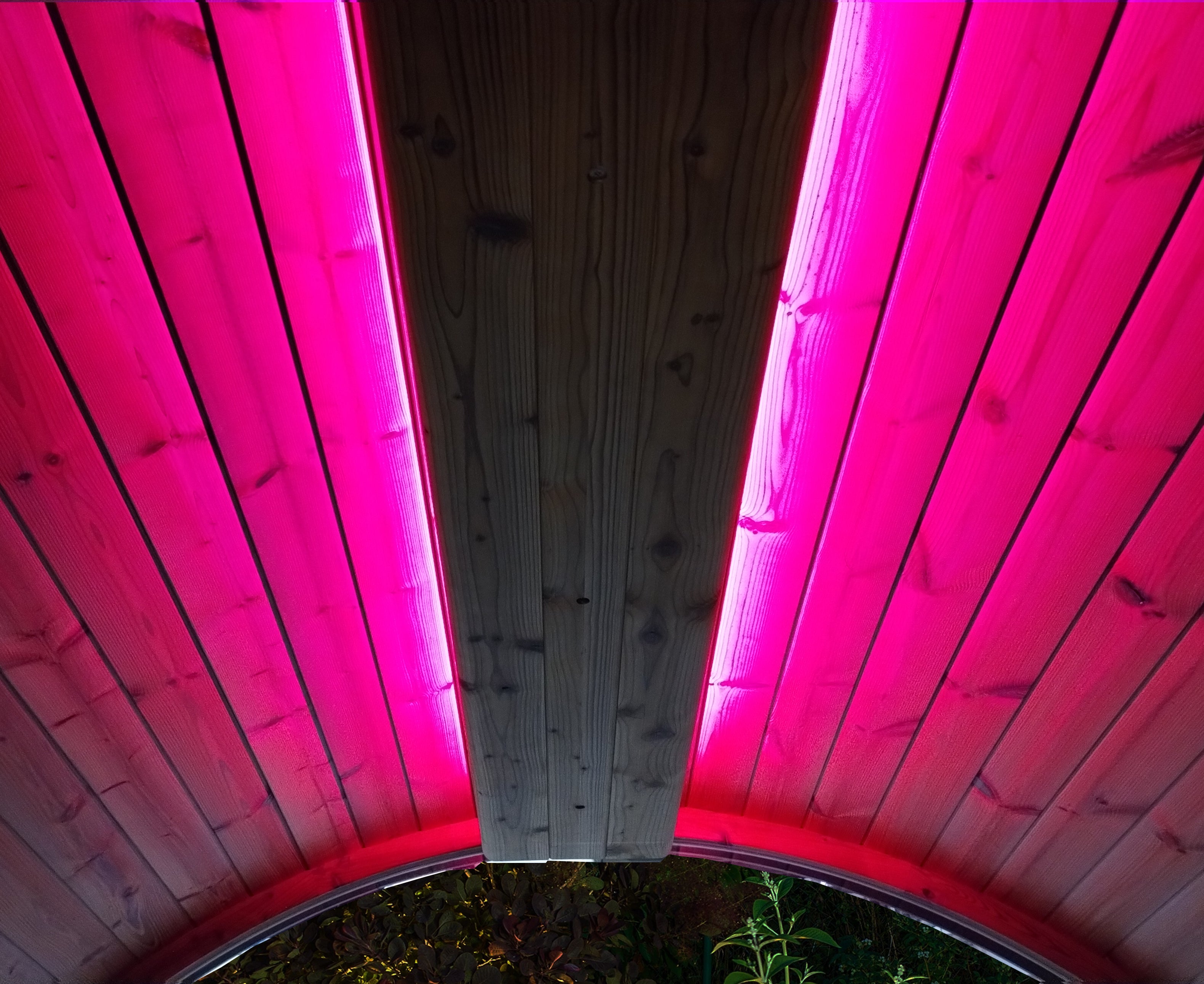 SaunaLife E-Mood Fuscia